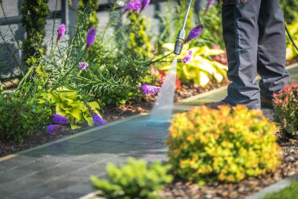 Best Parking Lot Cleaning in Stewartville, AL
